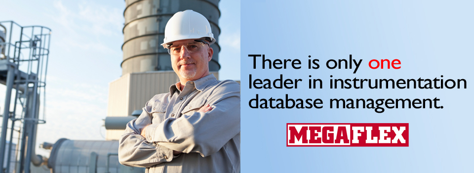 database-leader